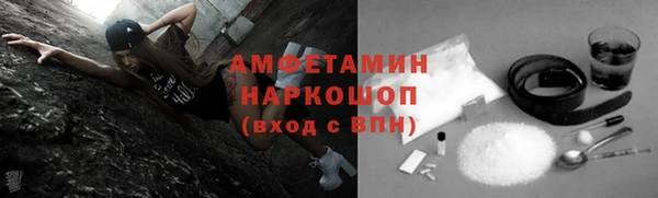 гидра Богданович