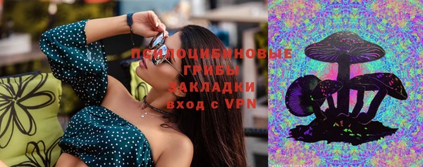 ешки Богородск