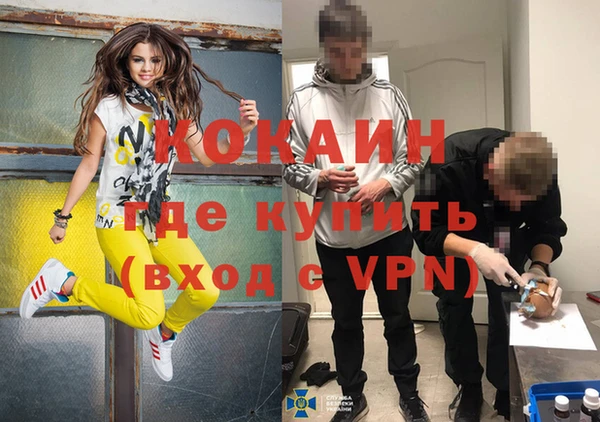 гидра Бронницы